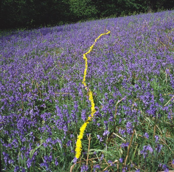 Goldsworthy9