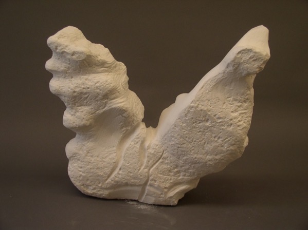 Stude3nt plaster carving3