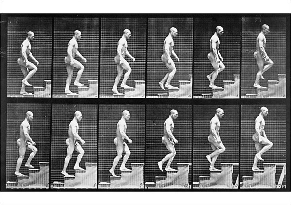 Muybridge staircase