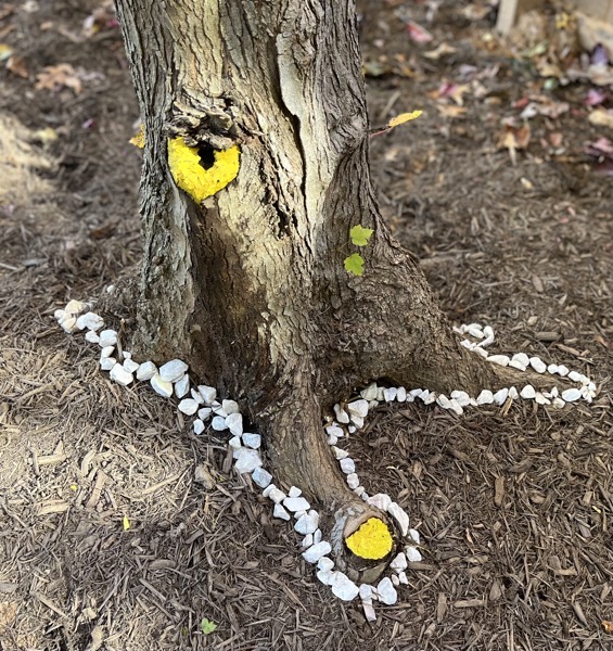 Stiudent Goldsworthy12