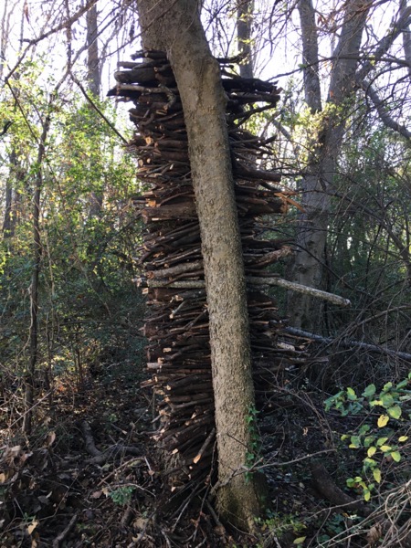 Stiudent Goldsworthy7