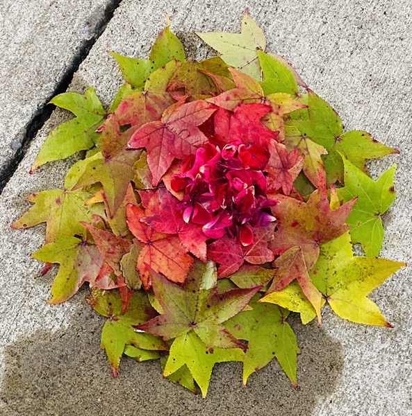 Stiudent Goldsworthy8