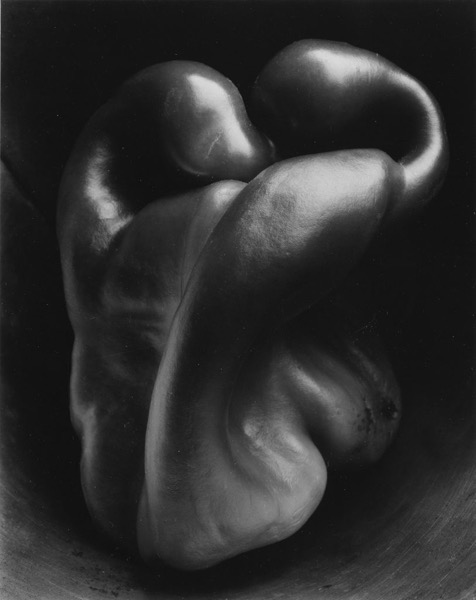 Edward Weston Cole Weston Pepper 30 1930 1 813x1024.