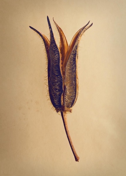 CleanShot 2025-10-29 at 23.47.04@2x.jpg CleanShot 2025-10-29 at 23.47.04@2x.