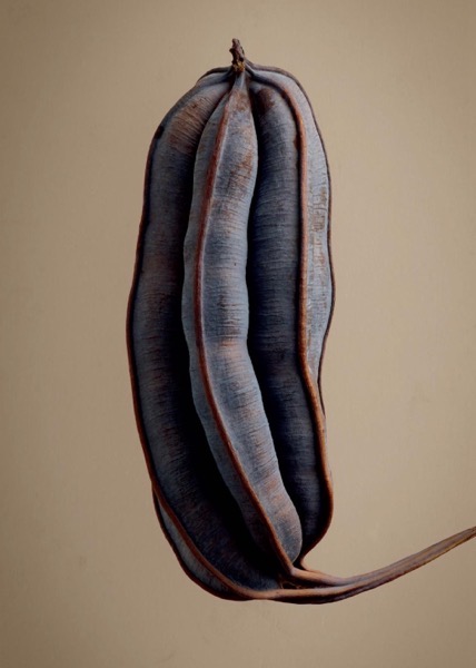 CleanShot 2025-10-29 at 23.48.31@2x.jpg CleanShot 2025-10-29 at 23.48.31@2x.