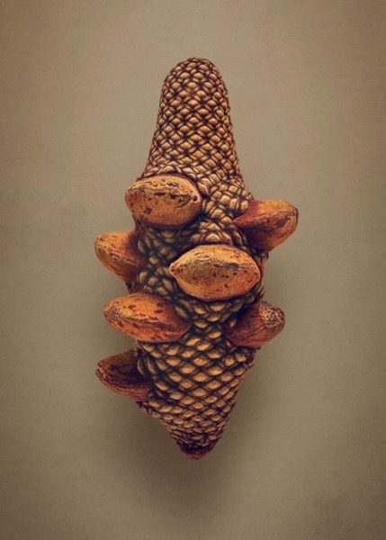 CleanShot 2025-10-29 at 23.49.06@2x.jpg CleanShot 2025-10-29 at 23.49.06@2x.