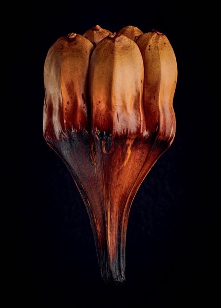 CleanShot 2025-10-29 at 23.49.27@2x.jpg CleanShot 2025-10-29 at 23.49.27@2x.