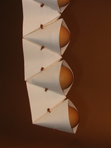 egg_containers_10.jpg Egg containers 10.